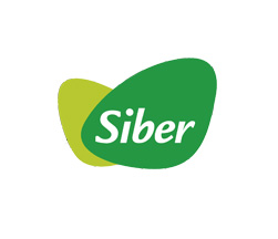 Siber